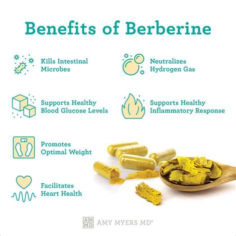 burberry benefits|berberine gel benefits.